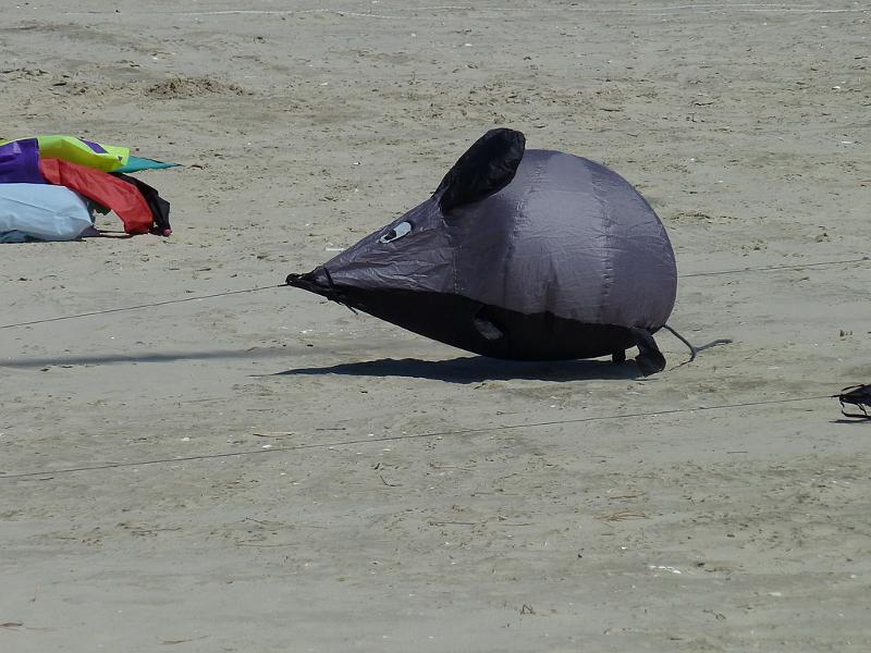 Fanø 2010 047.JPG